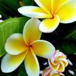 2b82a718-cc90-44b5-889c-892bf8c8a0f1